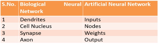 Biological Neural Network